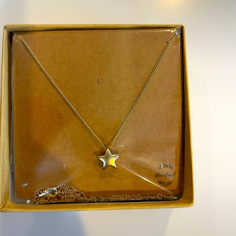 ⭐️Bearfruit gold long chain necklace with star pendant NWT